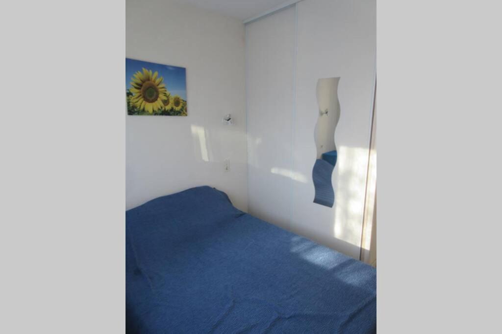 Apt Climatise T3 Saint Pierre La Mer, Terrasse, Jardin Et Parking Prive Fleury  Exterior foto